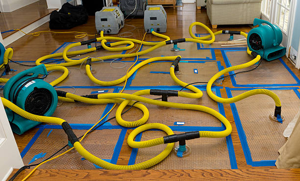 Professional Water Extraction technician working in Farmington, MO